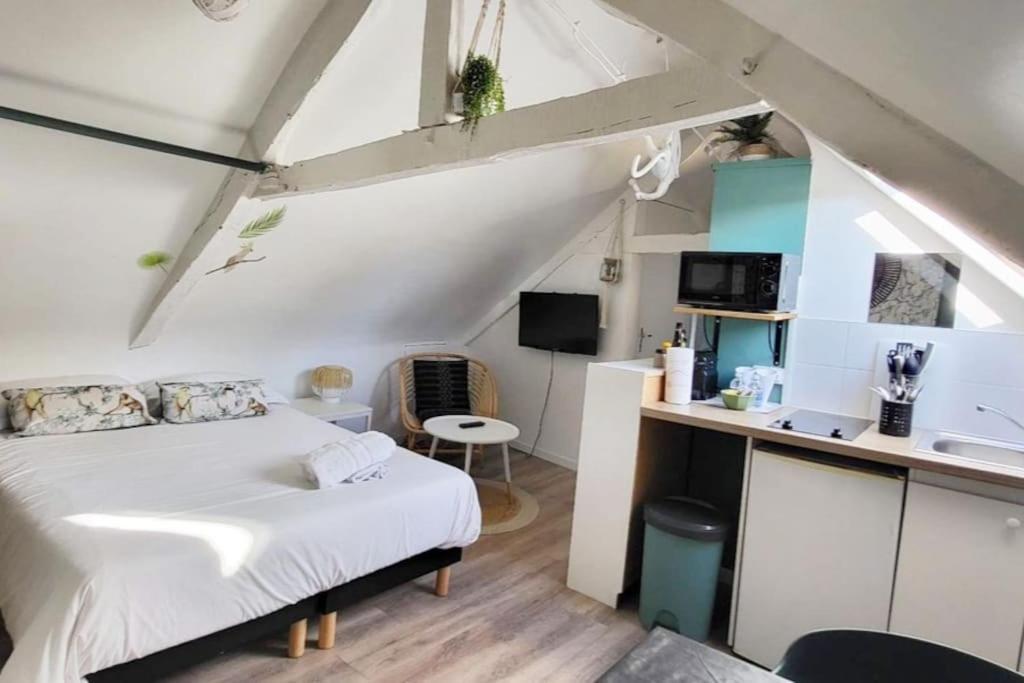 La Cabane - Petit Studio Mansarde - Plage 50M - Rue Gratuite 圣马洛 外观 照片