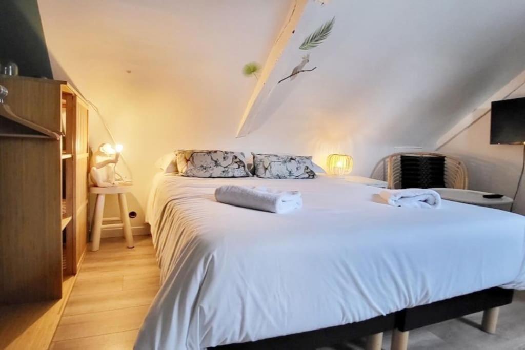 La Cabane - Petit Studio Mansarde - Plage 50M - Rue Gratuite 圣马洛 外观 照片